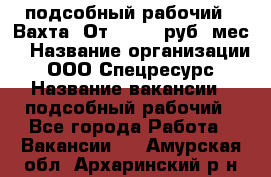 подсобный рабочий . Вахта. От 30 000 руб./мес. › Название организации ­ ООО Спецресурс › Название вакансии ­ подсобный рабочий - Все города Работа » Вакансии   . Амурская обл.,Архаринский р-н